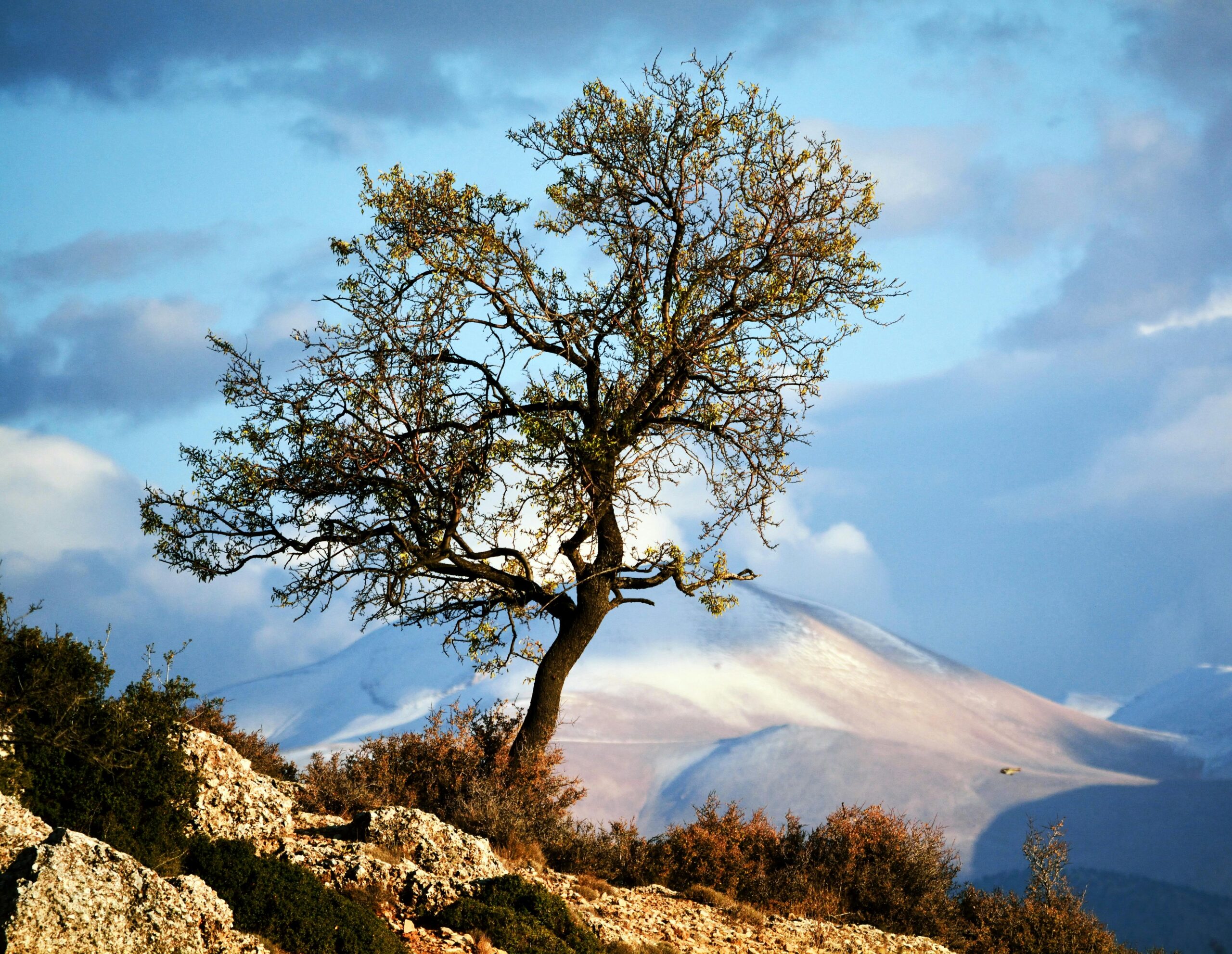 Tek Sayfa Ödeme Sistemi Tasarımı: Kullanıcı Deneyimini Geliştirir Mi?
