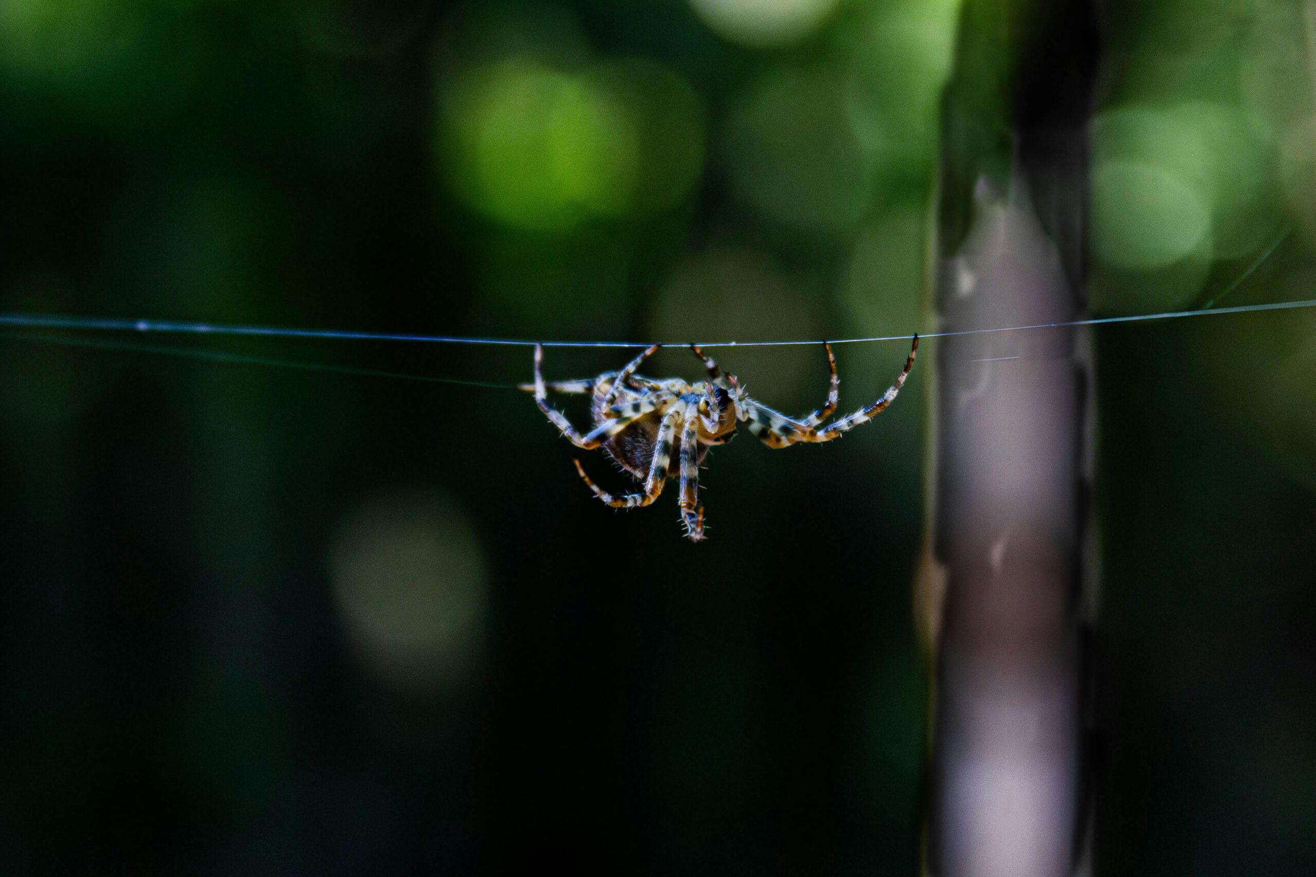 Renk Psikolojisinin Web Tasarıma Etkisi: Dikkat Çeken Stratejiler
