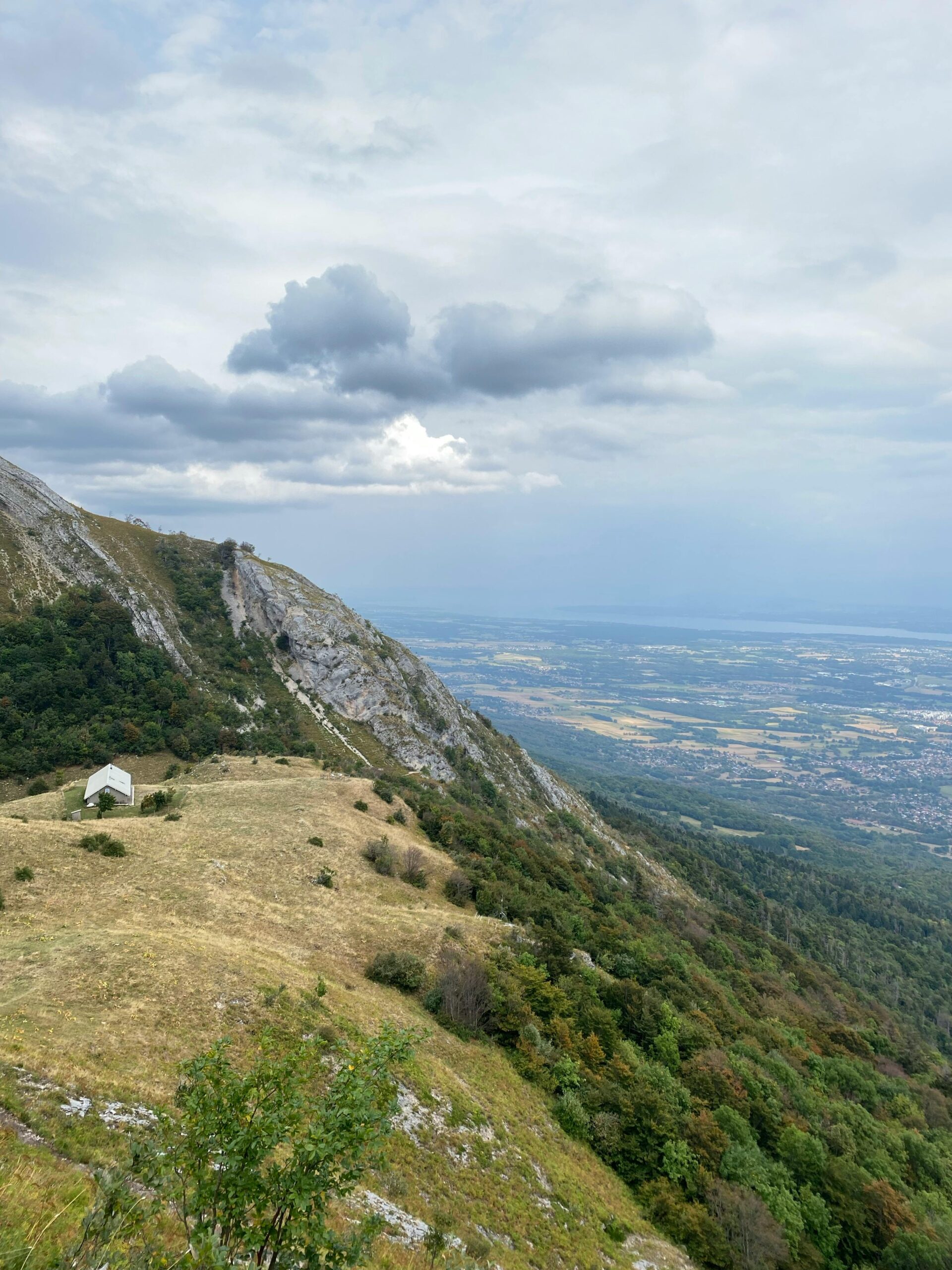 2025 Web Tasarım Trendleri: Yeni Fikirlerle Fark Yaratın!