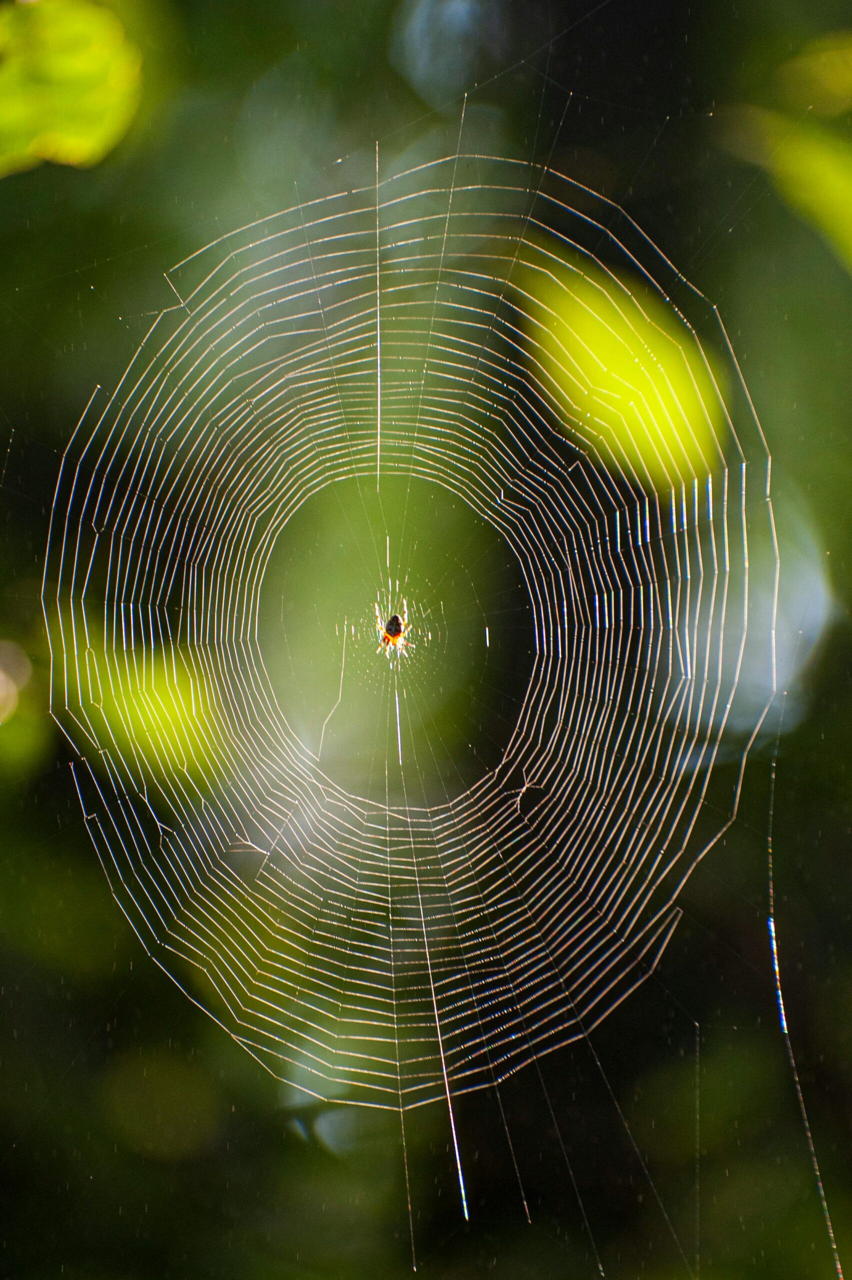 Web Sitesi Hızını Artırma Yöntemleri İle Kullanıcı Deneyimini Geliştirin