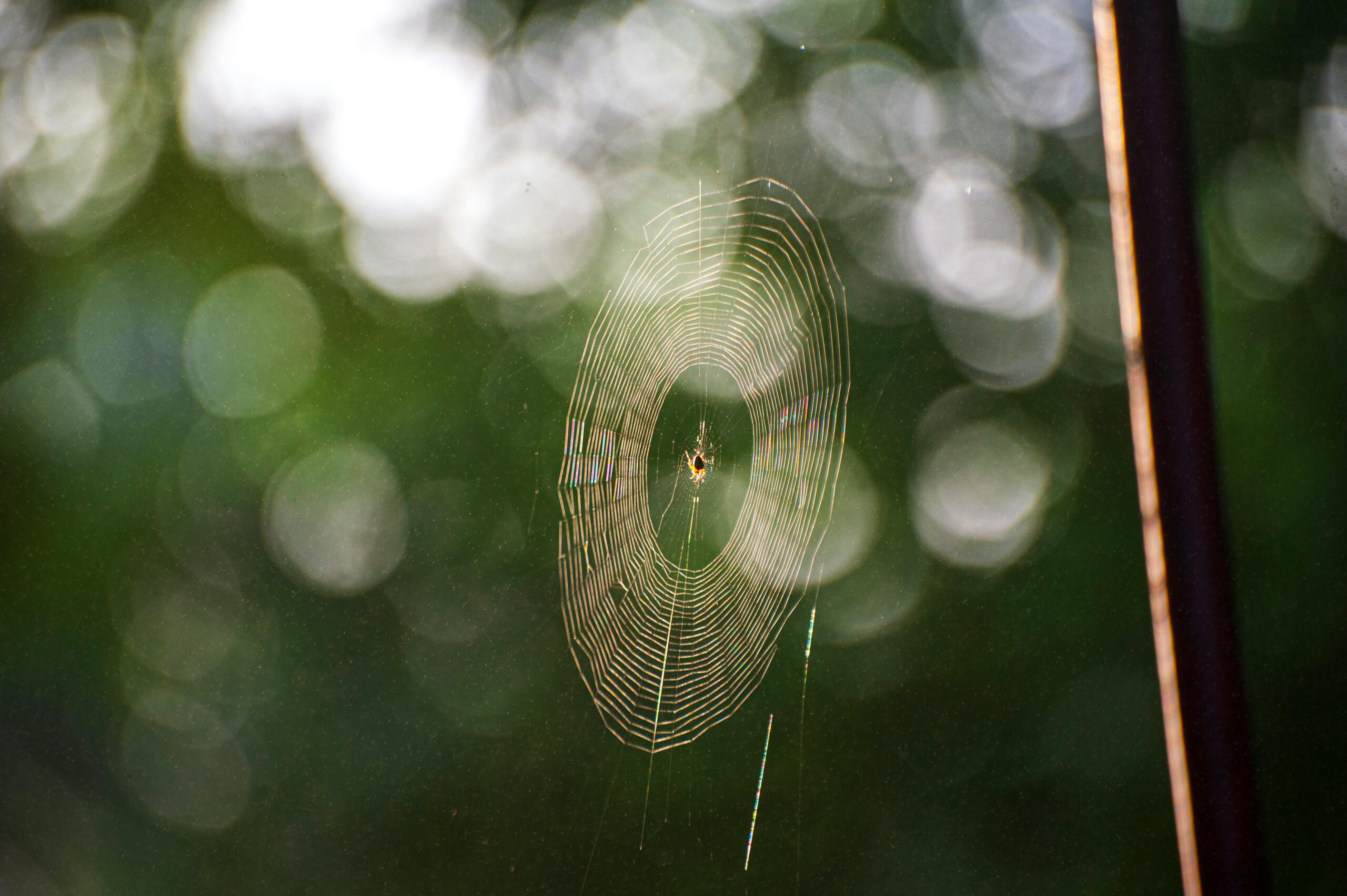 Web Sitesi Performans Testi İle Hızınızı Artırmanın Yolları