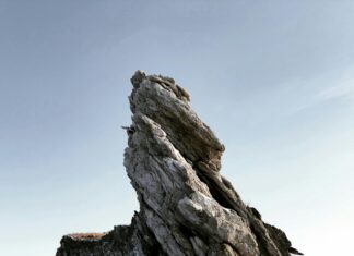 Kişisel Portfolyo Sitesi Kurma ile Fark Yaratmanın Yolları