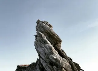 Kişisel Portfolyo Sitesi Kurma ile Fark Yaratmanın Yolları