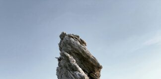 E-Ticaret Sitesi Kurma Adımları ile Başarılı Olmanın Yolları