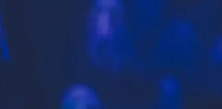 Kullanıcı Deneyimini Bozan 10 Hata: Hızla Kaçınmanız Gerekenler