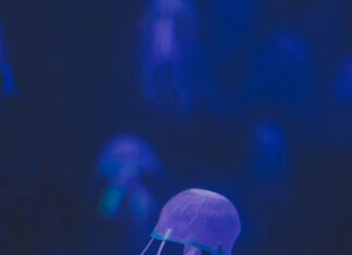 Kullanıcı Deneyimini Bozan 10 Hata: Hızla Kaçınmanız Gerekenler