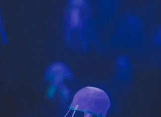 Kullanıcı Deneyimini Bozan 10 Hata: Hızla Kaçınmanız Gerekenler