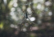10 Adımda Web Sitesi Tasarlama ile Başarılı Olmanın Yolları
