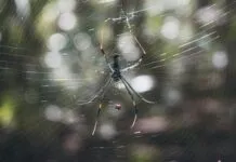 10 Adımda Web Sitesi Tasarlama ile Başarılı Olmanın Yolları
