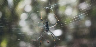 10 Adımda Web Sitesi Tasarlama ile Başarılı Olmanın Yolları