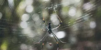 10 Adımda Web Sitesi Tasarlama ile Başarılı Olmanın Yolları