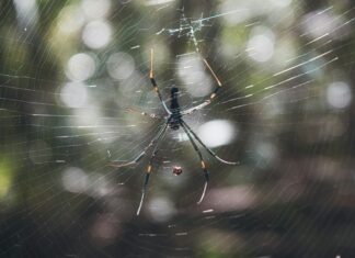 10 Adımda Web Sitesi Tasarlama ile Başarılı Olmanın Yolları