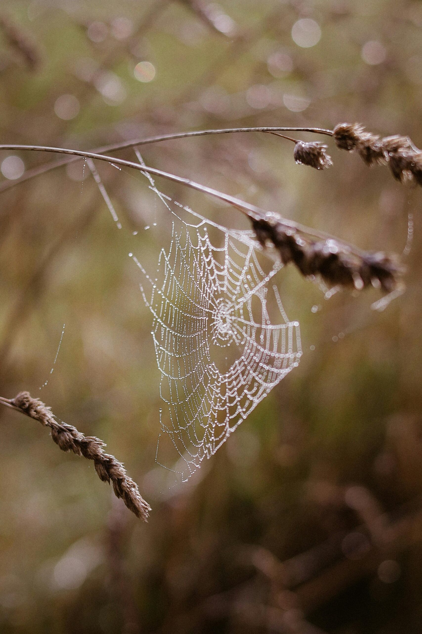 Hızlı Açılan Web Sitesi Tasarlama ile Rekabeti Geride Bırakın