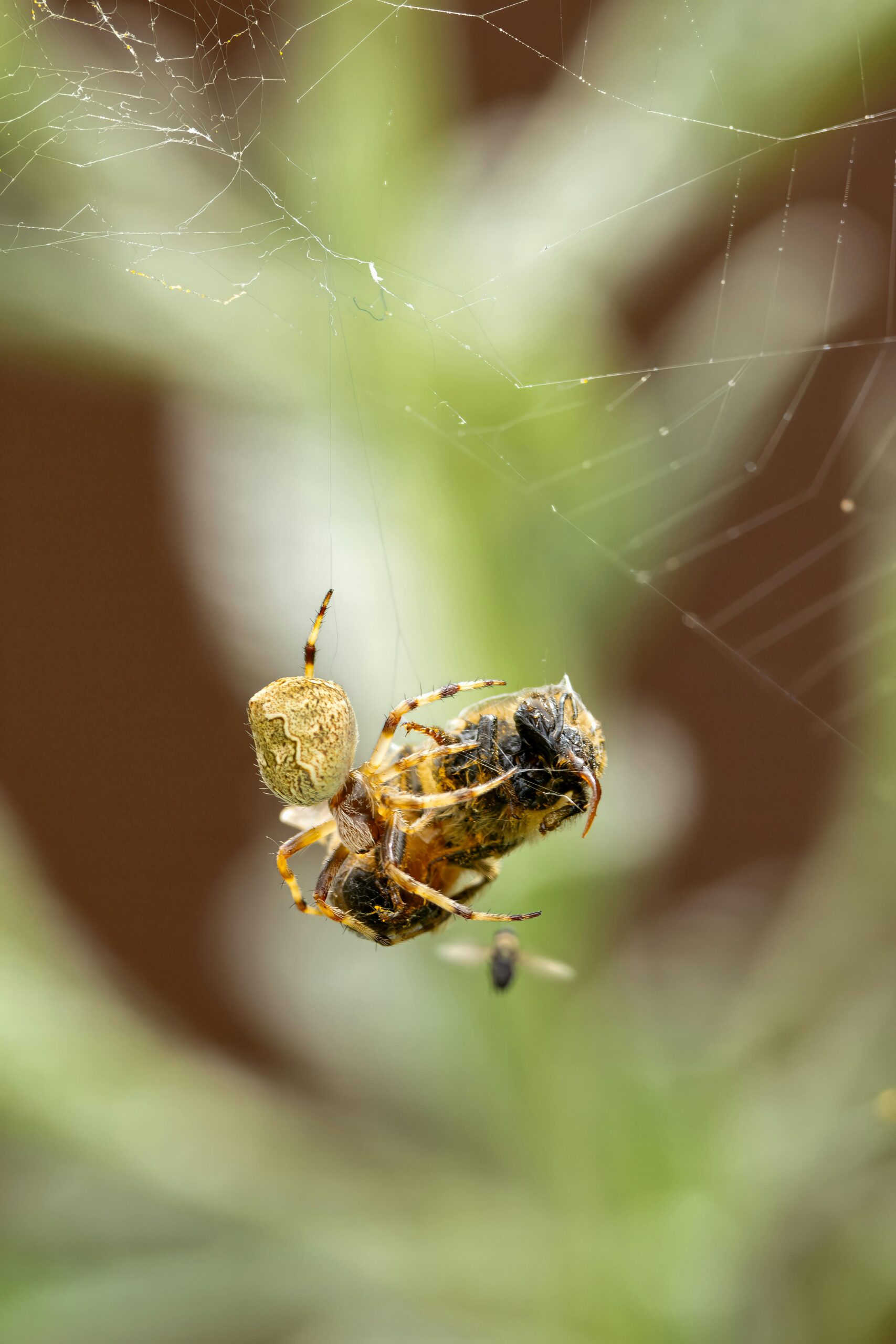 Web Sitesi Yedekleme Yöntemleri ile Verilerinizi Güvende Tutun