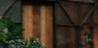 Freelancer Ve Ajans Arasındaki Farklar: Hangisi Sizin İçin Uygun?