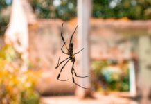 Web Tasarımda Yapay Zekâ Kullanımı Örnekleri ile Geleceği Keşfedin