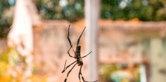 Web Tasarımda Yapay Zekâ Kullanımı Örnekleri ile Geleceği Keşfedin