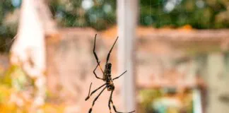 Web Tasarımda Yapay Zekâ Kullanımı Örnekleri ile Geleceği Keşfedin