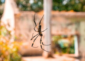 Web Tasarımda Yapay Zekâ Kullanımı Örnekleri ile Geleceği Keşfedin