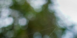 Sıfırdan Web Sitesi Kurma Rehberiyle Hızla Başarıya Ulaşın