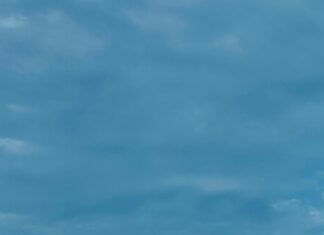 Mobil Uyumlu Olmayan Siteler Neden Tercih Edilmiyor?