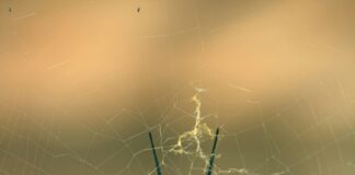 Web Tasarım Sözleşmesi Hazırlama: Hangi Detaylara Dikkat Etmelisiniz?