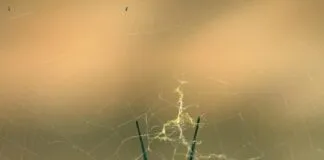 Web Tasarım Sözleşmesi Hazırlama: Hangi Detaylara Dikkat Etmelisiniz?