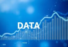 Dijital Pazarlama ve Marka Yönetiminde Hava Durumu Verilerinin Kullanımı The Use of Weather Data in Digital Marketing and Brand Management